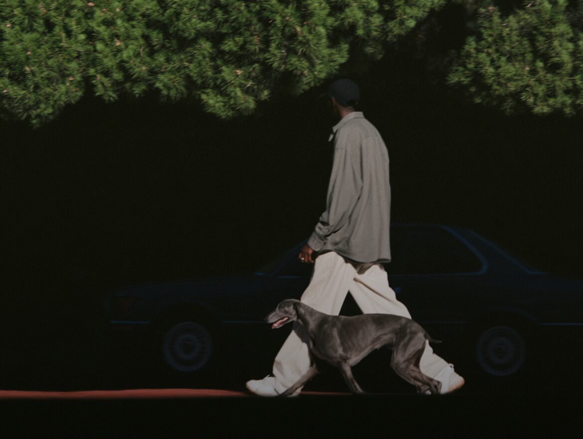 People walking their dogs