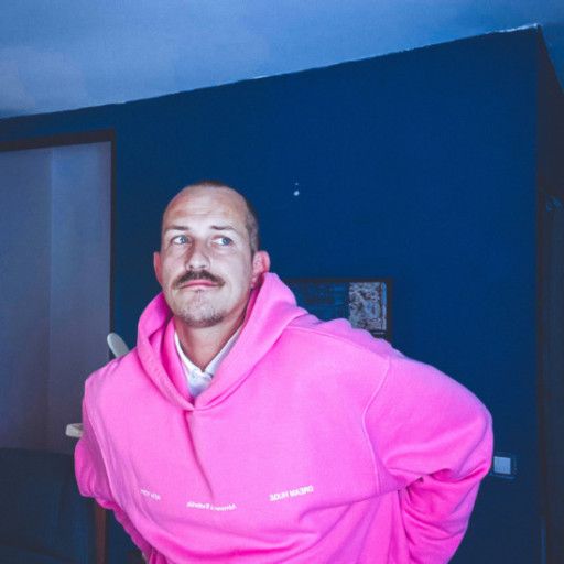 La faute à Max